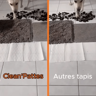 Tapis Clean' Pattes Zanory