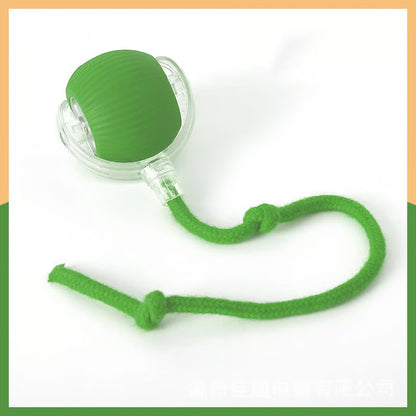 Balle interactive pour chat