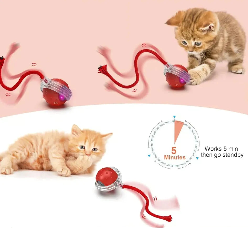 Balle interactive pour chat