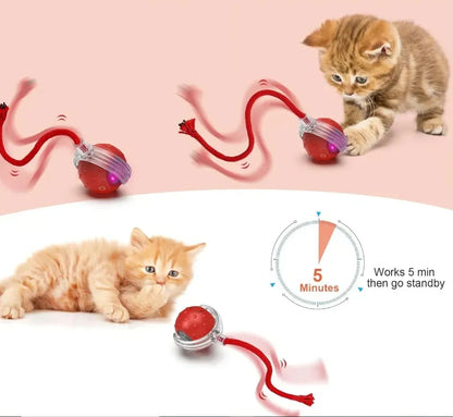 Balle interactive pour chat